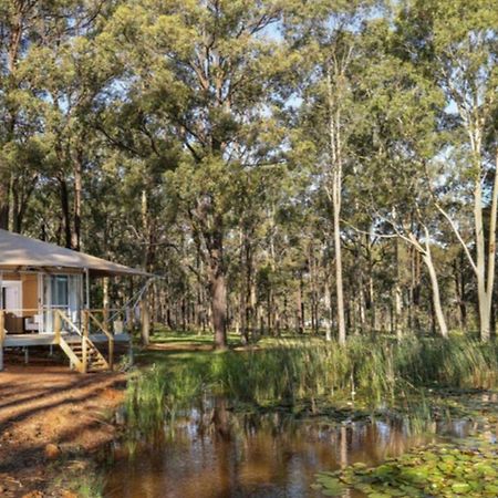 Shiraz - Pokolbin Glamping Villa Exterior photo